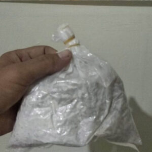 Mushroom Seeds(oyster) 200gm