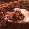 Cocopeat - Image 3