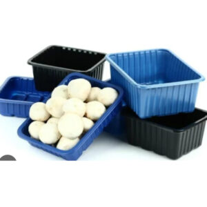 Mushroom punnet per Piece