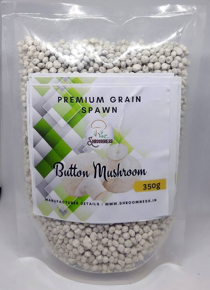Button Mushroom Seed (1 kg )
